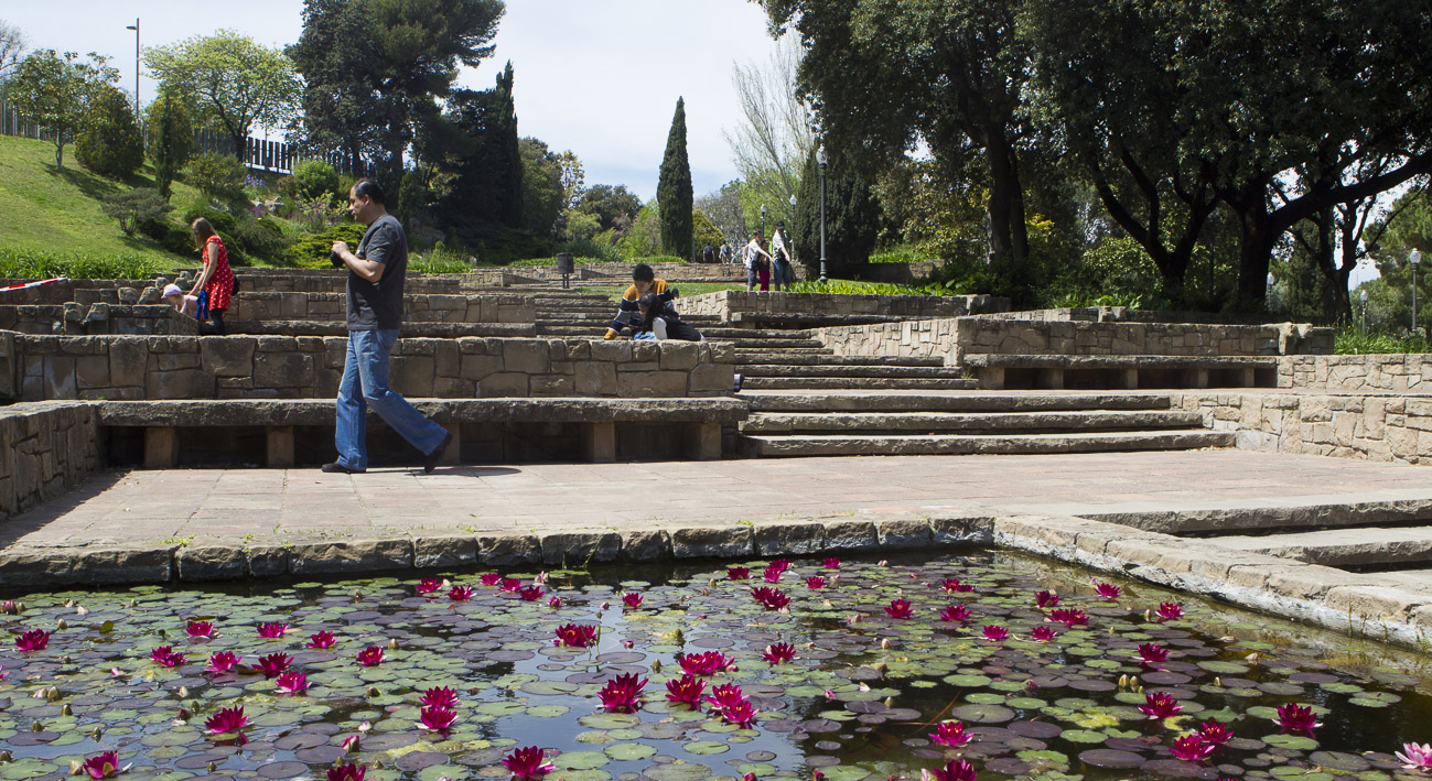 Camins empedrats i arquitectura del paisatge